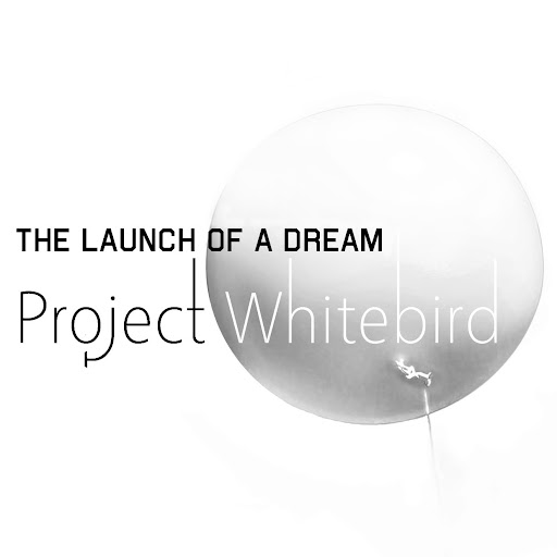 Michael Turley Photo 42