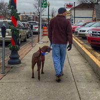 Andrew Schafer Photo 25