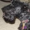 Karen Michaels Photo 47