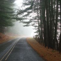 Cynthia Clarke Photo 23