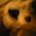 Stephen Tai Photo 16