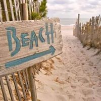 Sandy Reynolds Photo 12 Sandy Reynolds Photo 12