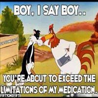 Tracy Catlin Photo 8