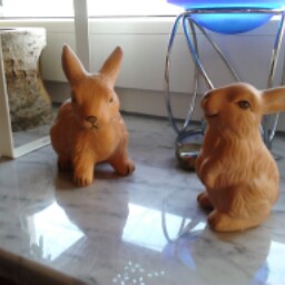 Harry Richter Photo 9