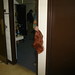 Kathy Deal Photo 20