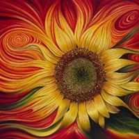 Bryant Webster Photo 16