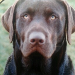 Bruce Richardson Photo 36 Bruce Richardson Photo 36