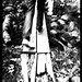 Alicia Bartlett Photo 12