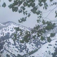 Mary Schlegel Photo 16