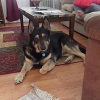 Jon Jennings Photo 25