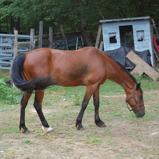Nancy Cotter Photo 22