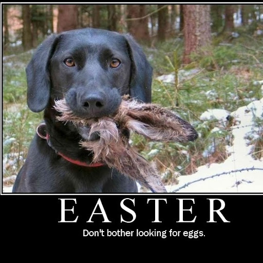 Denis Fitzpatrick Photo 7