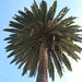 Christine Eckert Photo 3