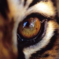 Jeff Riddle Photo 32