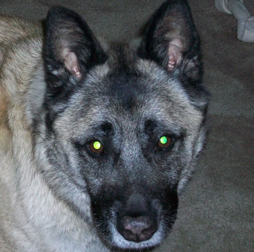 Cherie Jackson Photo 1