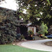Beverly Greene Photo 28