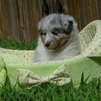 Travis Turner Photo 16 Travis Turner Photo 16