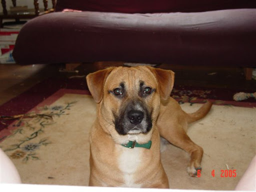 Cindy Wallace Photo 13