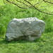Ronald Wilder Photo 15
