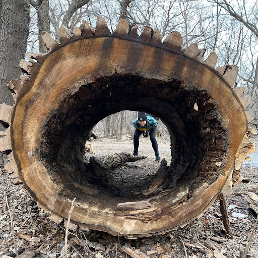 Stephanie O'Donnell Photo 3