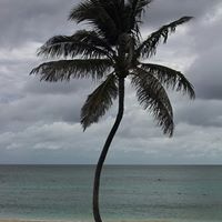 Belinda Fleming Photo 15