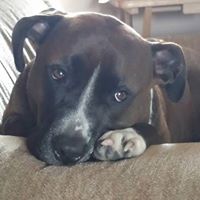 Brandy Robbins Photo 34