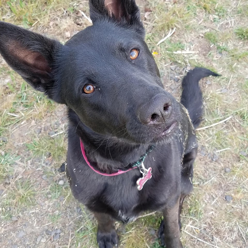 Barbara Berg Photo 19