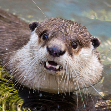 Max Johnson Photo 19