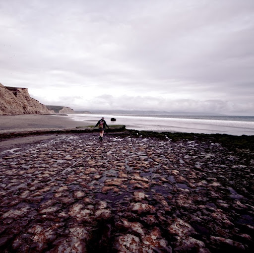 Robert Bahr Photo 33