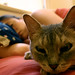 Cassie Sager Photo 7
