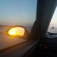 Terry Browne Photo 16