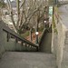 Anne Comstock Photo 21