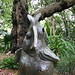 Arthur Boyd Photo 25