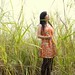 Rong Huang Photo 15
