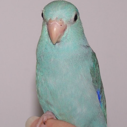 Barbara Pruitt Photo 21