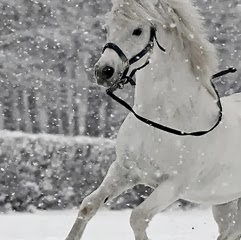 Shaobin Wu Photo 2