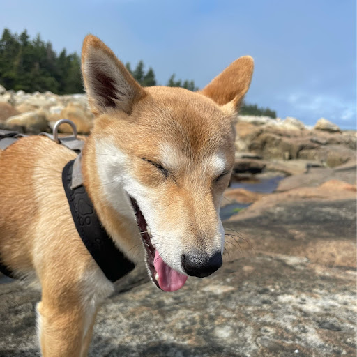 Connor Farrell Photo 27