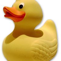 Elizabeth Rainer Photo 14