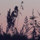 Julia Sloan Photo 30