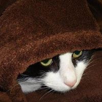 Constance Stone Photo 14