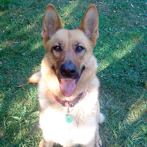 Richard Rowlands Photo 15 Richard Rowlands Photo 15