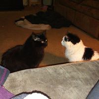Michele Shepherd Photo 25