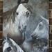 Kathleen Farmer Photo 14