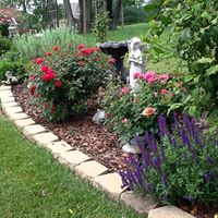 Susan Clemons Photo 24