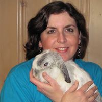 Kimberly Clevenger Photo 21