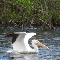 Michelle Marr Photo 36