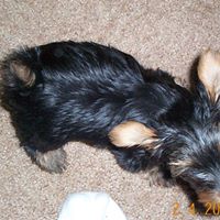 Scott Urquhart Photo 10