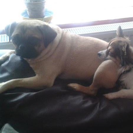 Annette Robbins Photo 11