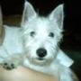 Robin Nutter Photo 8