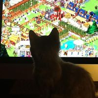 Frances Fitzpatrick Photo 10